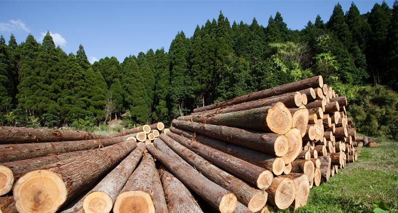 Solutions Leica Geosystems pour l'exploitation forestière